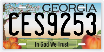 GA license plate CES9253
