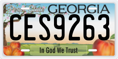GA license plate CES9263