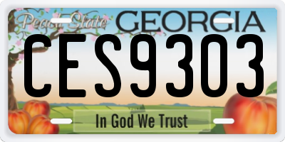 GA license plate CES9303