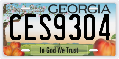 GA license plate CES9304