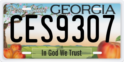 GA license plate CES9307