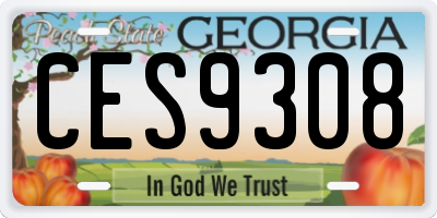 GA license plate CES9308