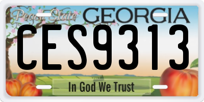 GA license plate CES9313