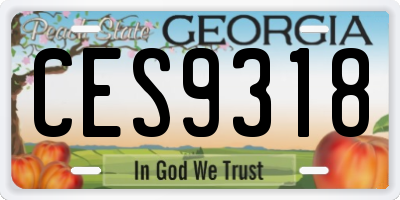 GA license plate CES9318