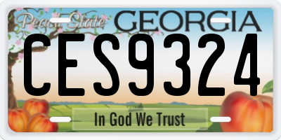 GA license plate CES9324