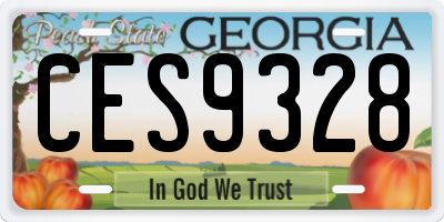 GA license plate CES9328