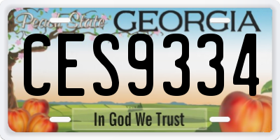 GA license plate CES9334