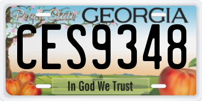 GA license plate CES9348