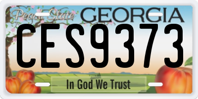 GA license plate CES9373