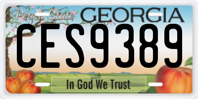 GA license plate CES9389