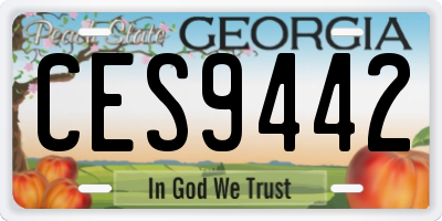GA license plate CES9442