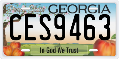 GA license plate CES9463
