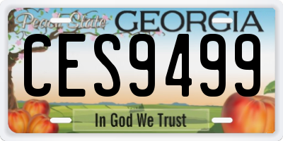 GA license plate CES9499