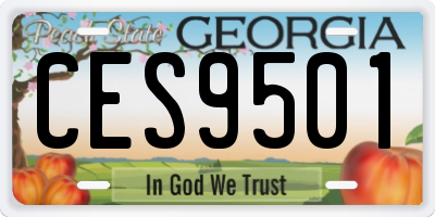 GA license plate CES9501
