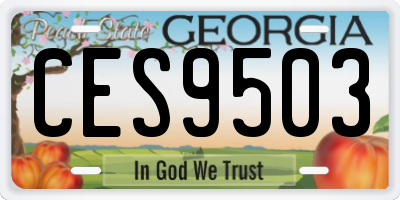 GA license plate CES9503