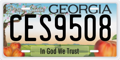 GA license plate CES9508