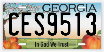 GA license plate CES9513