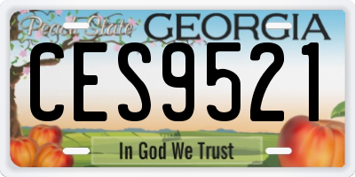 GA license plate CES9521