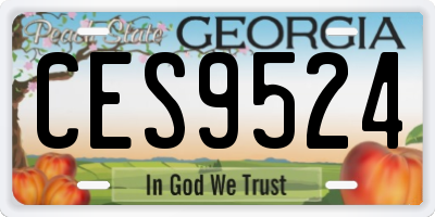 GA license plate CES9524