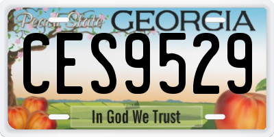 GA license plate CES9529