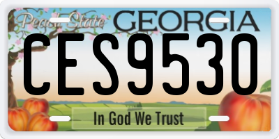 GA license plate CES9530