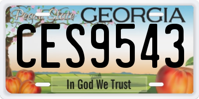 GA license plate CES9543