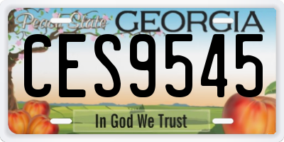 GA license plate CES9545