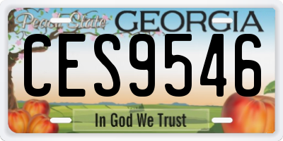 GA license plate CES9546