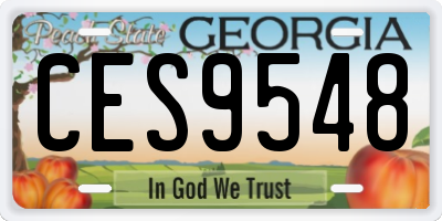 GA license plate CES9548