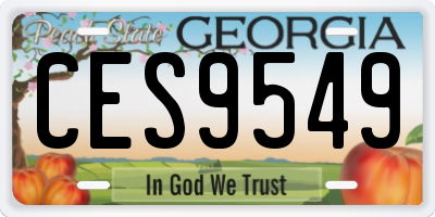 GA license plate CES9549