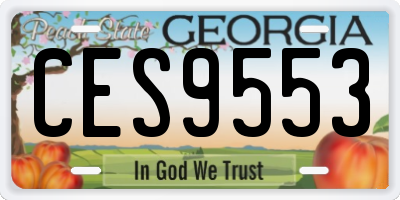 GA license plate CES9553