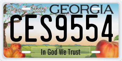 GA license plate CES9554