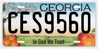 GA license plate CES9560