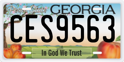 GA license plate CES9563