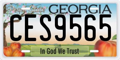 GA license plate CES9565