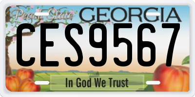 GA license plate CES9567