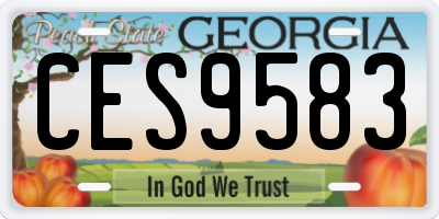 GA license plate CES9583