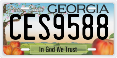 GA license plate CES9588