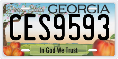 GA license plate CES9593