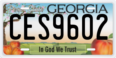 GA license plate CES9602