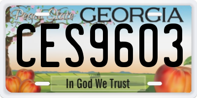 GA license plate CES9603