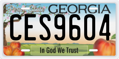 GA license plate CES9604