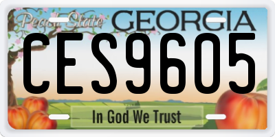 GA license plate CES9605