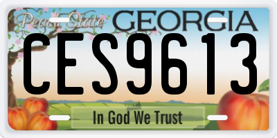 GA license plate CES9613