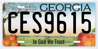GA license plate CES9615