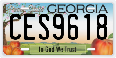 GA license plate CES9618