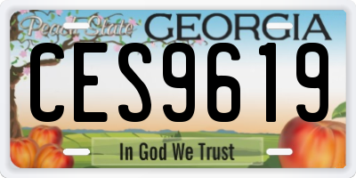 GA license plate CES9619