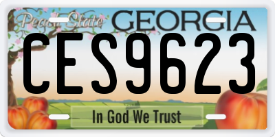 GA license plate CES9623