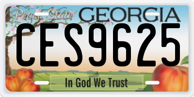 GA license plate CES9625