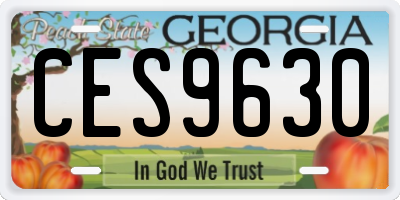 GA license plate CES9630